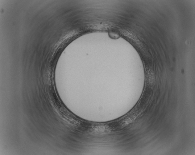 X0000062890587200602101743