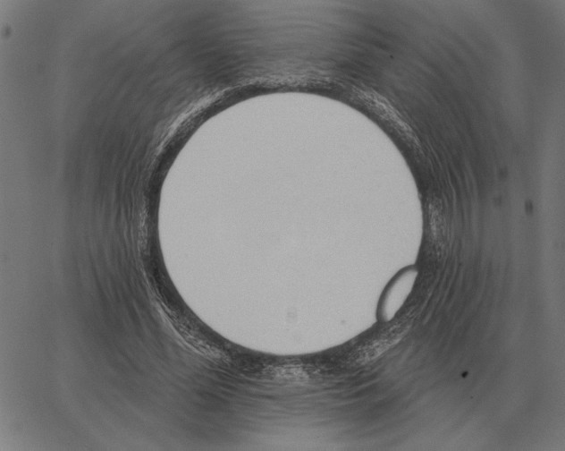 X0000062890588200602101743