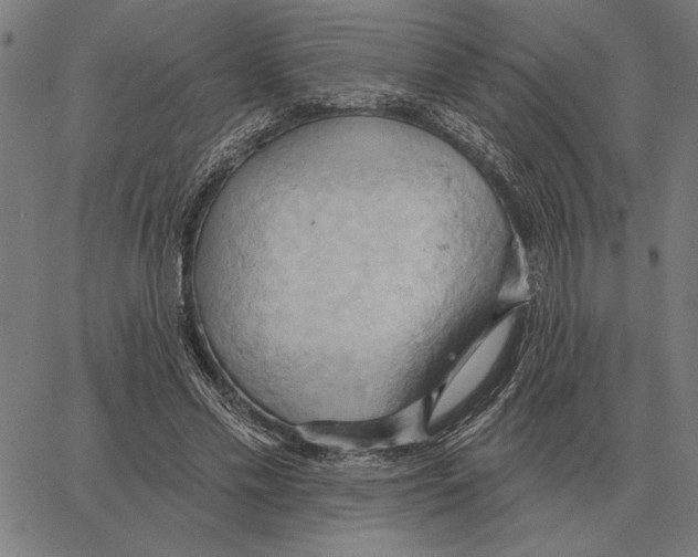 X0000062890589200602101743