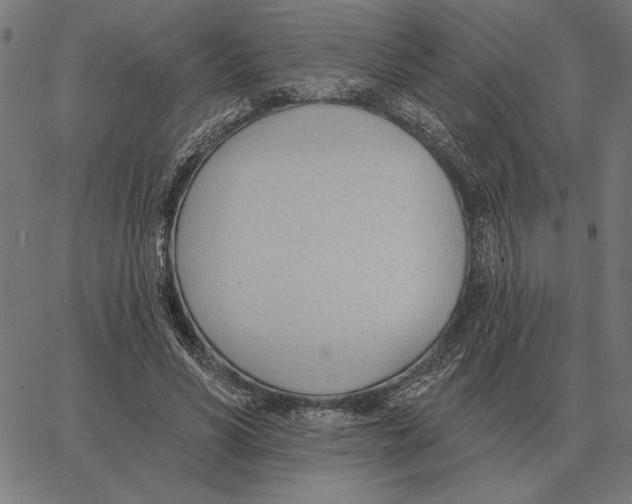 X0000062890590200602101743