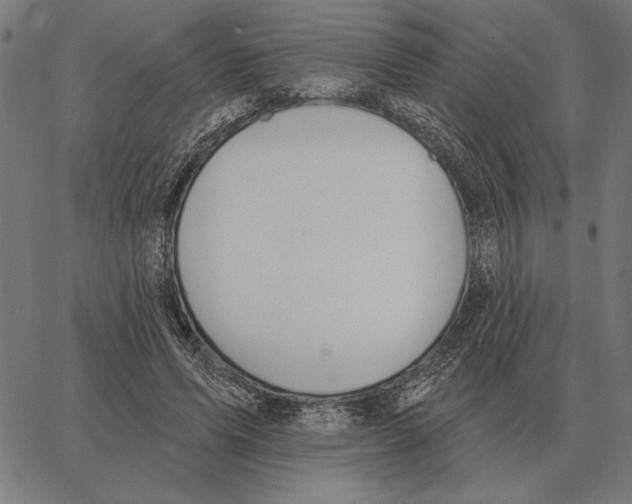 X0000062890591200602101743