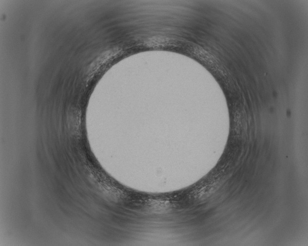 X0000062890592200602101743