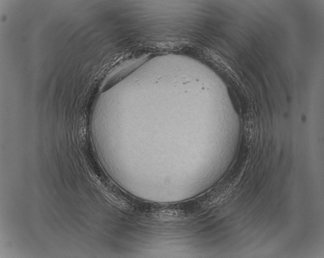 X0000062890593200602101743