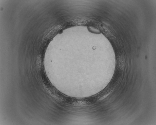 X0000062890594200602101743