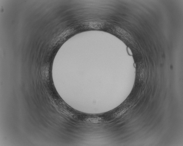 X0000062890595200602101743