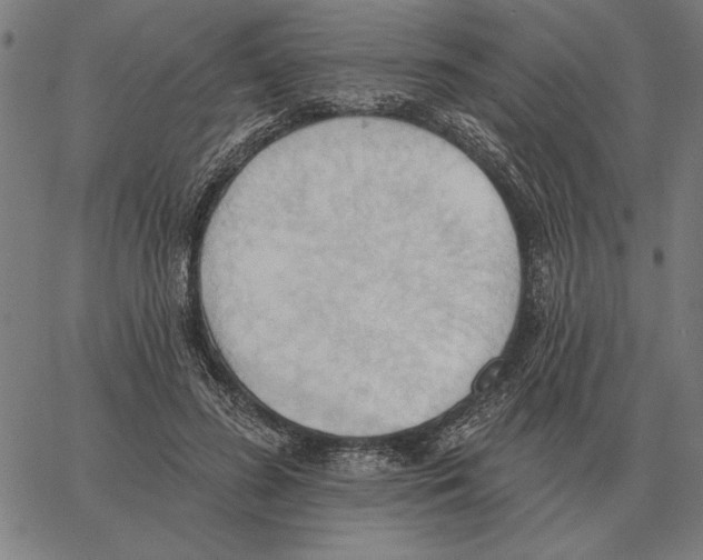 X0000062890596200602101743