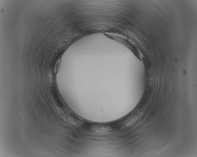 X0000062890597200602101743