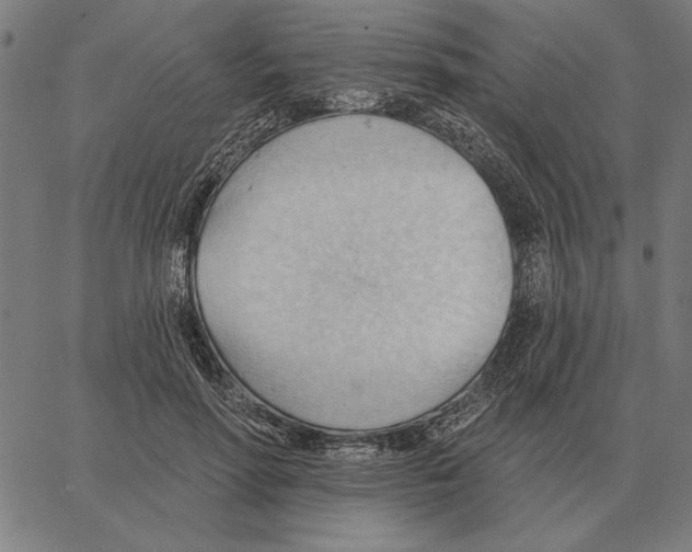 X0000062890598200602101743