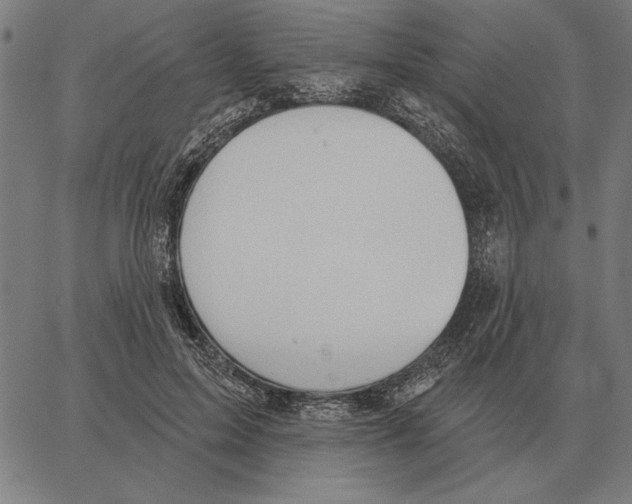 X0000062890599200602101743