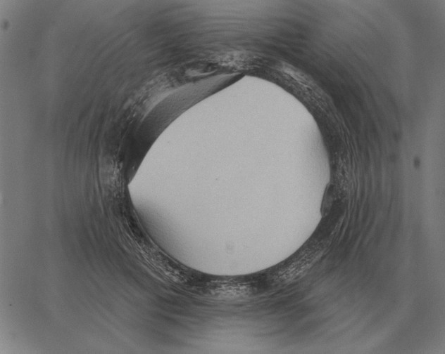 X0000062890601200602101743