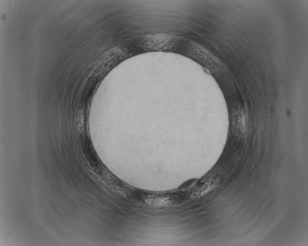 X0000062890602200602101743