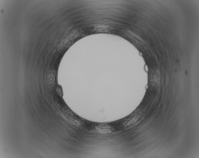 X0000062890603200602101743