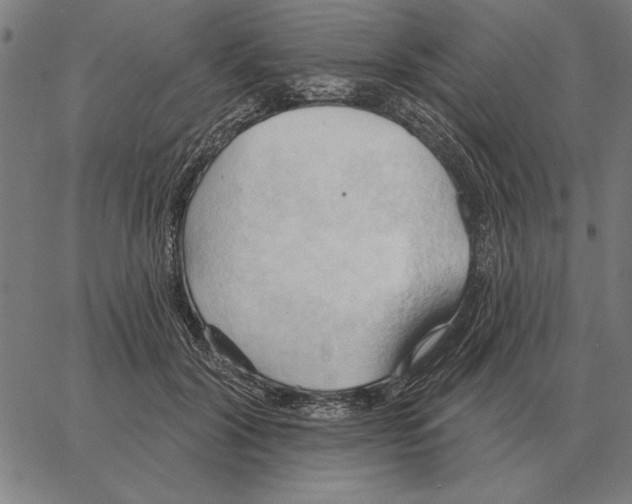 X0000062890604200602101743