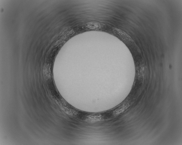 X0000062890606200602101743