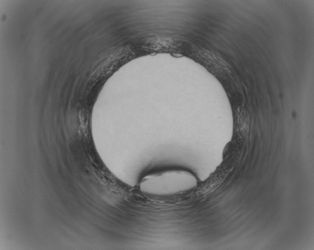 X0000062890607200602101743