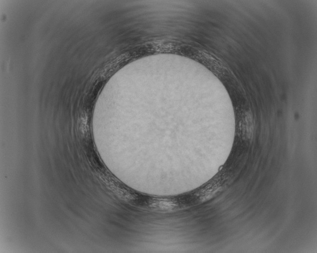 X0000062890610200602101743