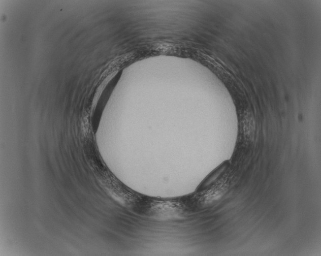 X0000062890611200602101743