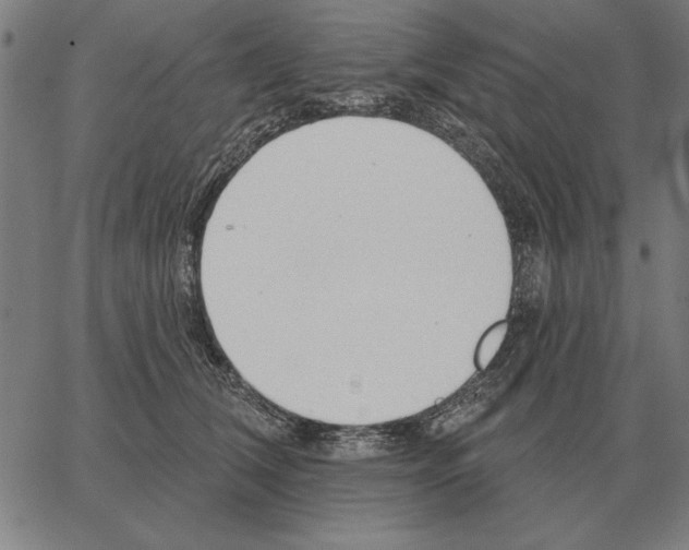 X0000062890612200602101743