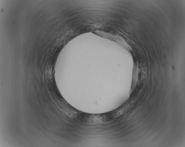 X0000062890613200602101743