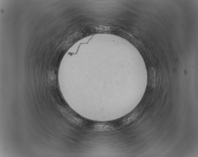 X0000062890614200602101743