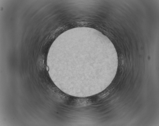 X0000062890615200602101743