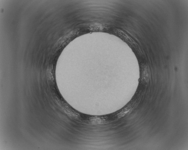 X0000062890616200602101743