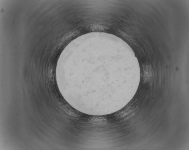 X0000062890619200602101743