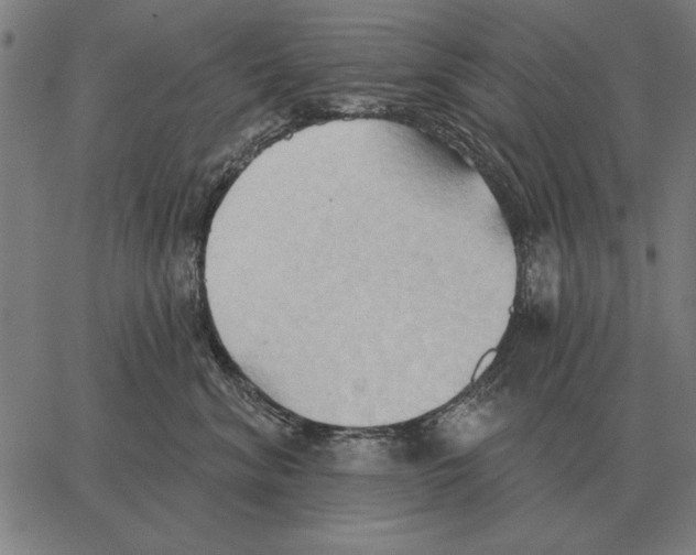 X0000062890620200602101743