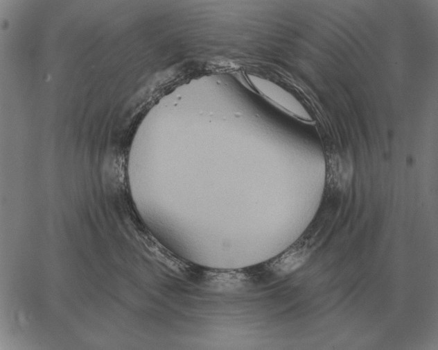 X0000062890621200602101743