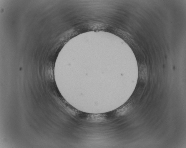 X0000062890622200602101743