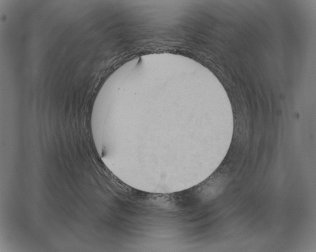 X0000062890624200602101743