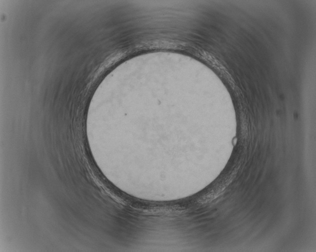 X0000062890625200602101742