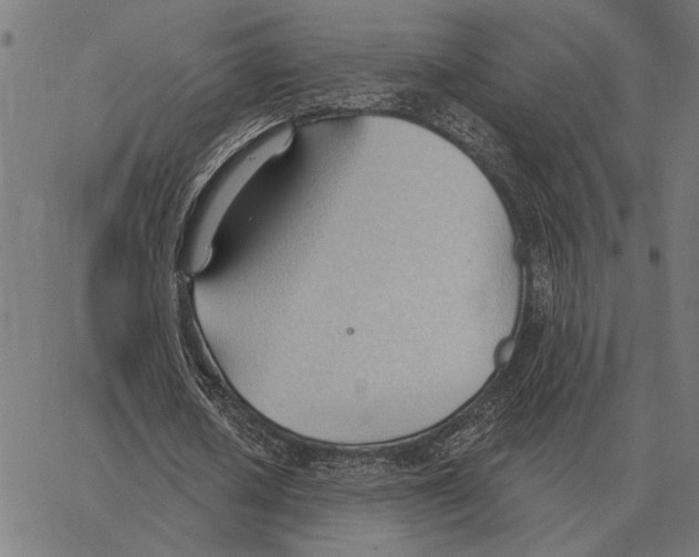 X0000062890626200602101742