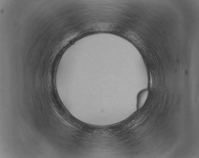 X0000062890627200602101742