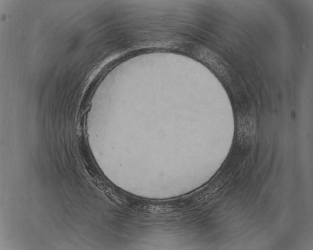 X0000062890628200602101742