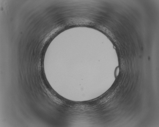 X0000062890629200602101742