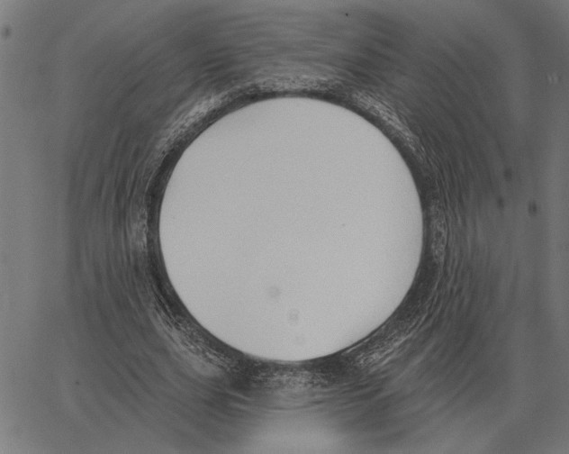 X0000062890631200602101742