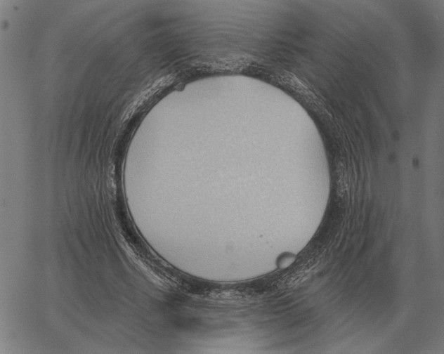 X0000062890634200602101742