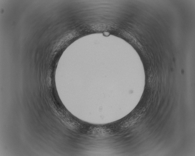 X0000062890635200602101742