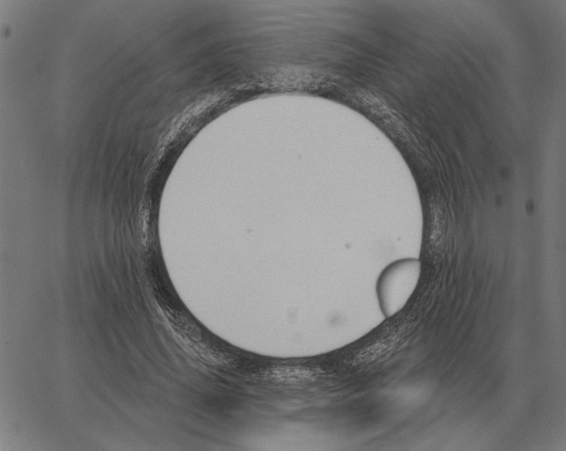 X0000062890636200602101742