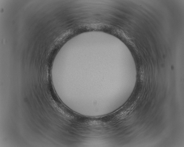 X0000062890637200602101742