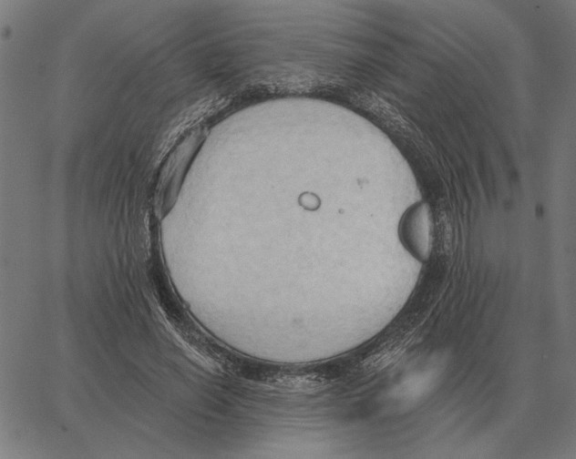 X0000062890638200602101742