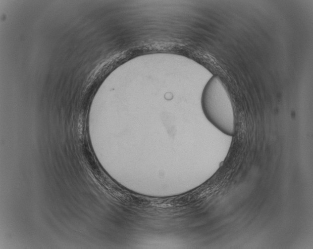 X0000062890640200602101742