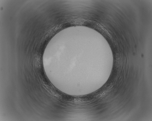 X0000062890641200602101742