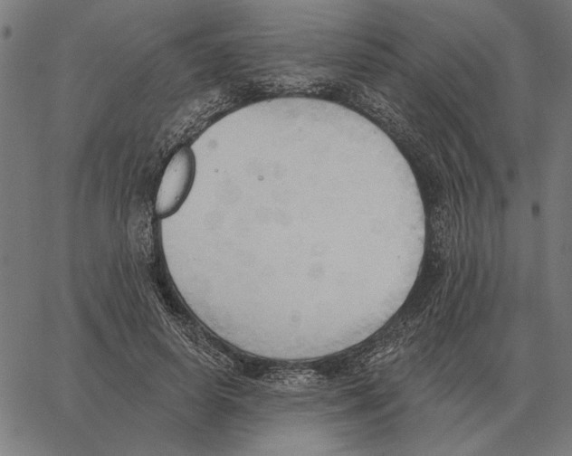 X0000062890642200602101742