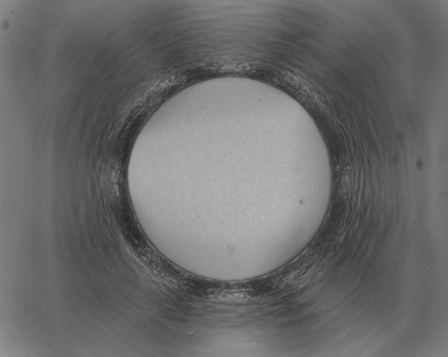 X0000062890643200602101742