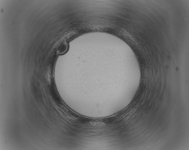 X0000062890644200602101742