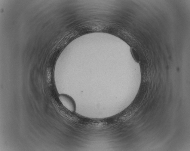 X0000062890646200602101742