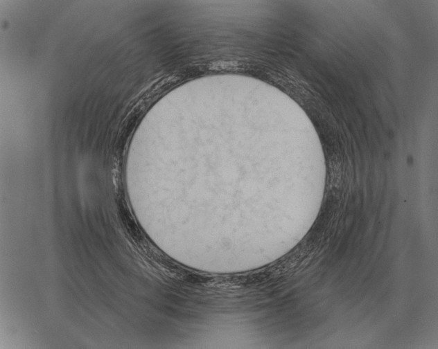 X0000062890648200602101742