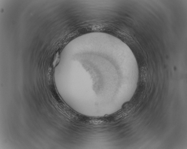 X0000062890650200602101742